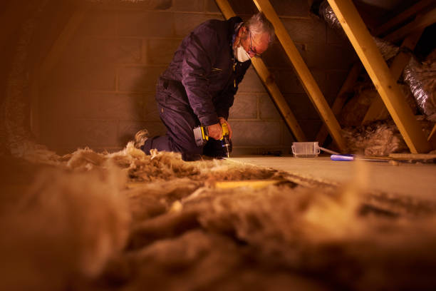 Best Geographic-Specific Insulation Services in The Village Of Indian Hill, OH